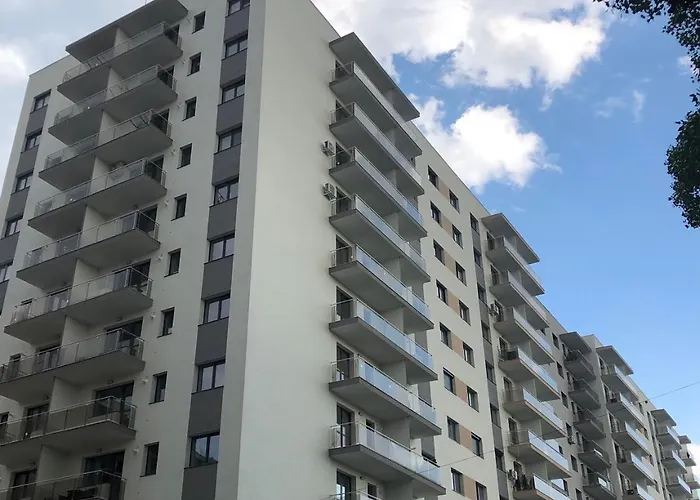 Hils Pallady * 布加勒斯特