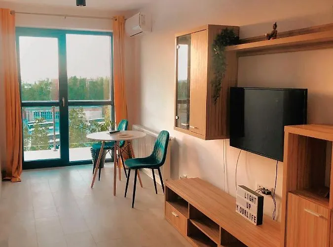 Hils Pallady * 布加勒斯特