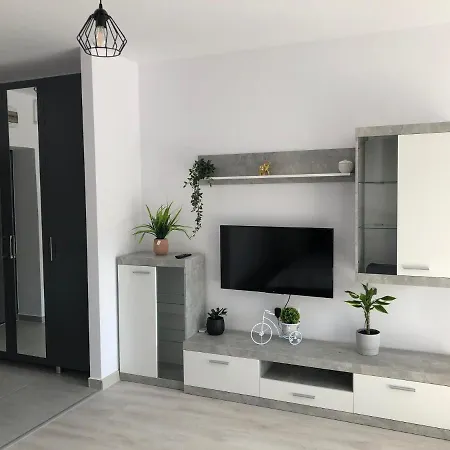 Hils Pallady Bucureşti