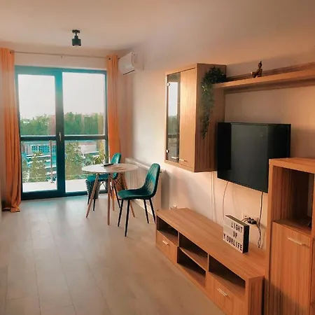 Hils Pallady * Bucureşti