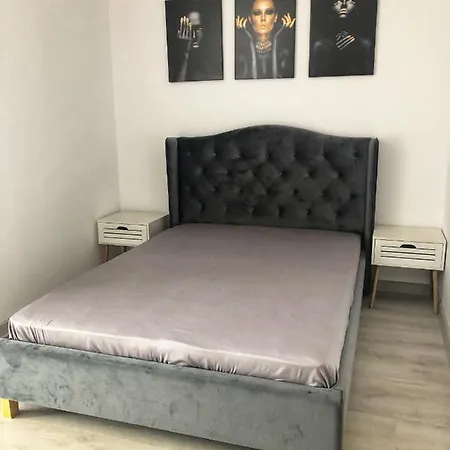 Hils Pallady * Bucureşti