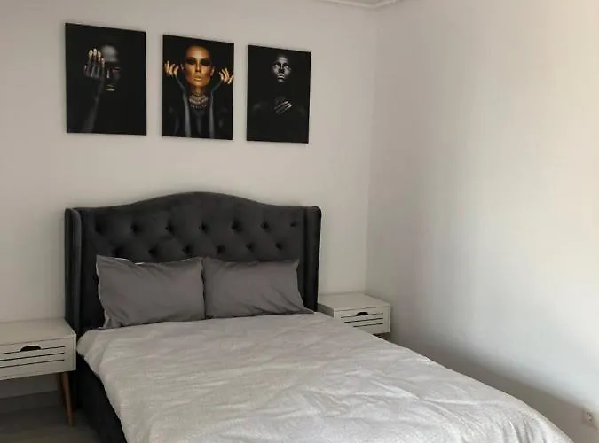 Hils Pallady بوخارست